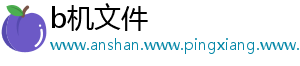 b机文件